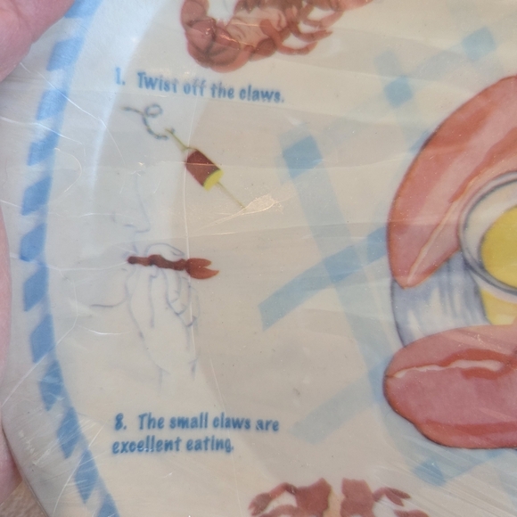 Vintage Set of 4 How to Eat Lobster Oval 13"x10" Plastic Plate/ Maine/Rustic - Picture 7 of 11